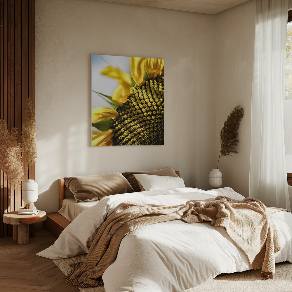 Sonnenblume Nahaufnahme | Leinwand