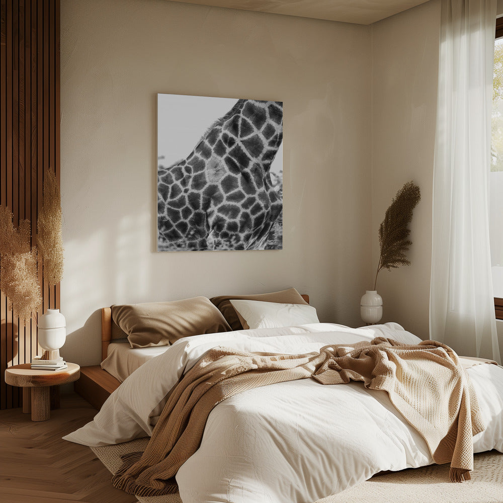Komplizierte Muster der Haut einer Giraffe | Leinwand