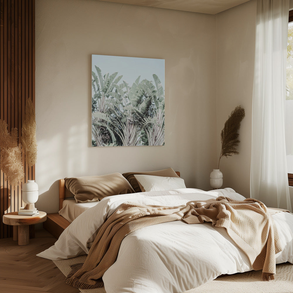 Tropical Whispers | Canvas