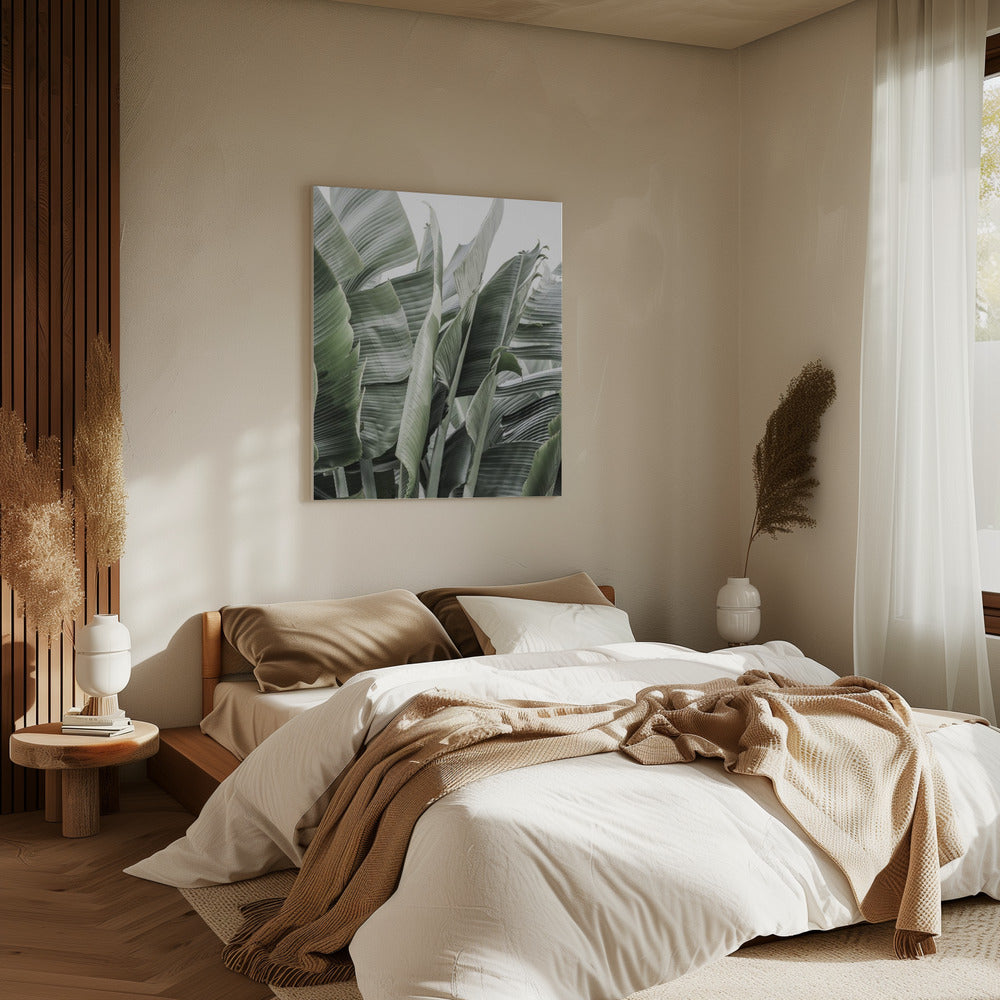 Banana Leaves In Soft Lighting | Canvas