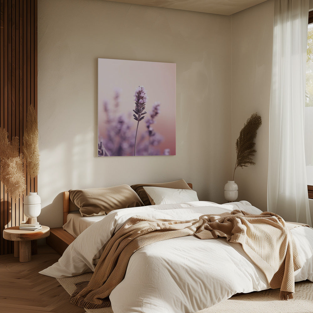 Lavendel Gelassenheit | Leinwand