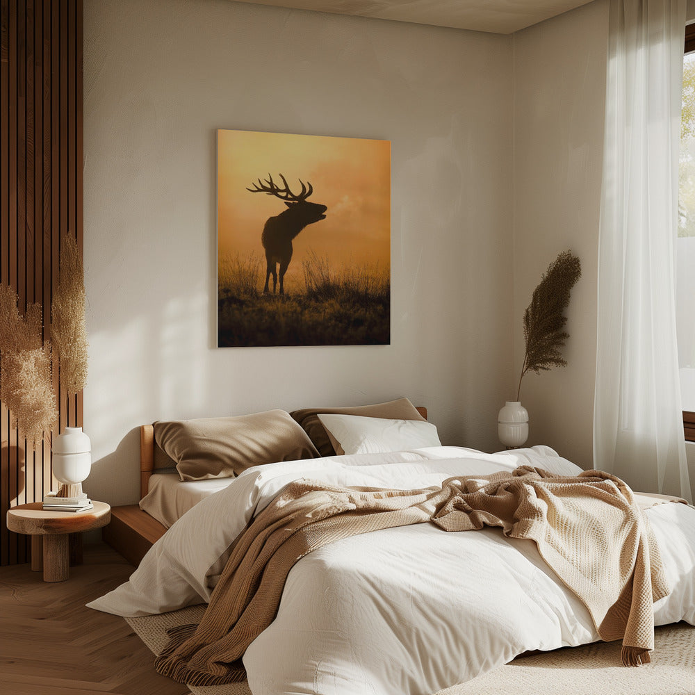 Morning call | Canvas