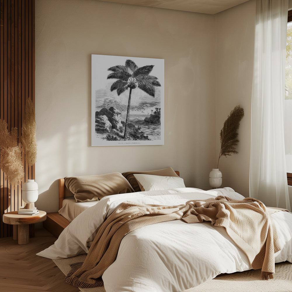 Vintage Palm Tree Drawing I | Canvas