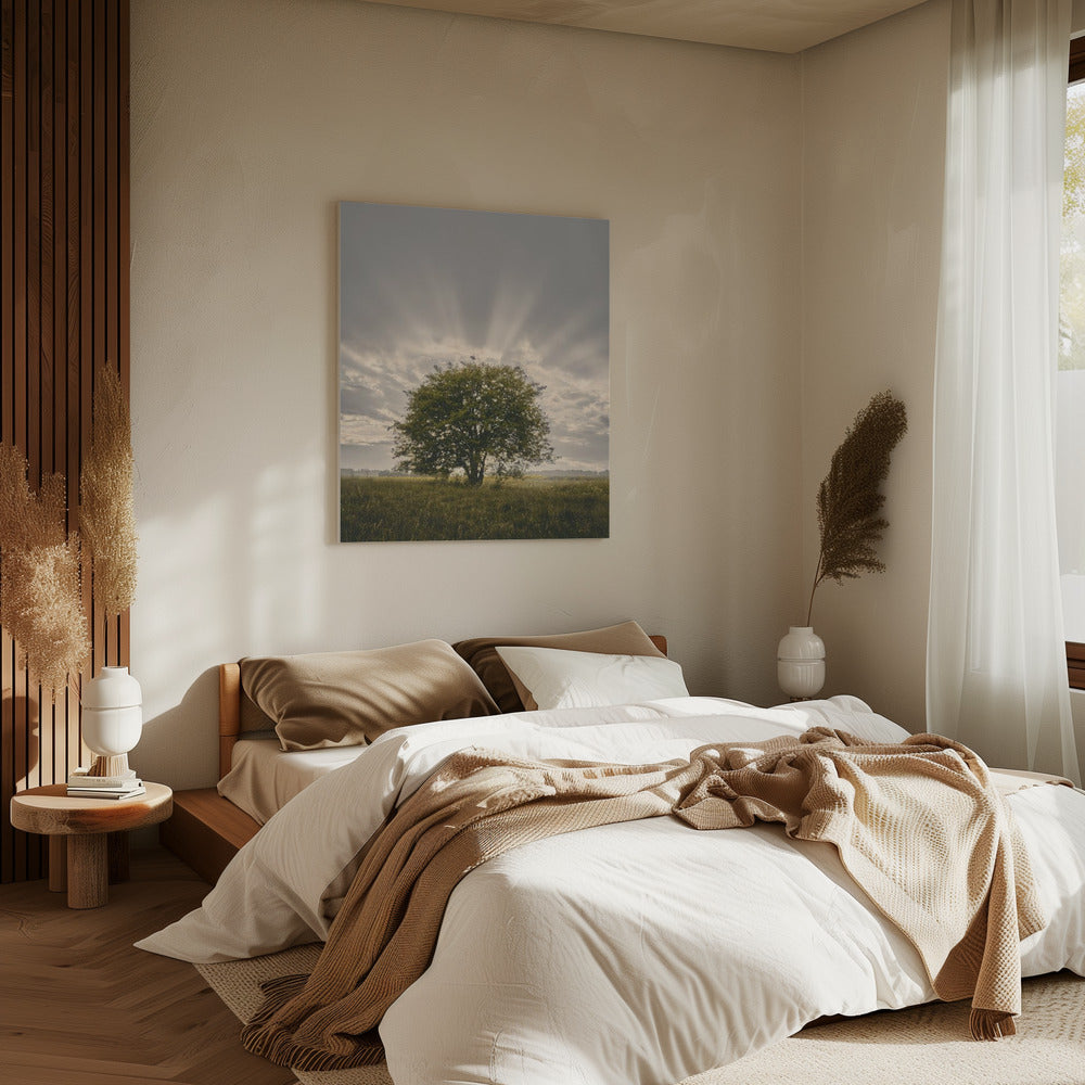 Leinwand