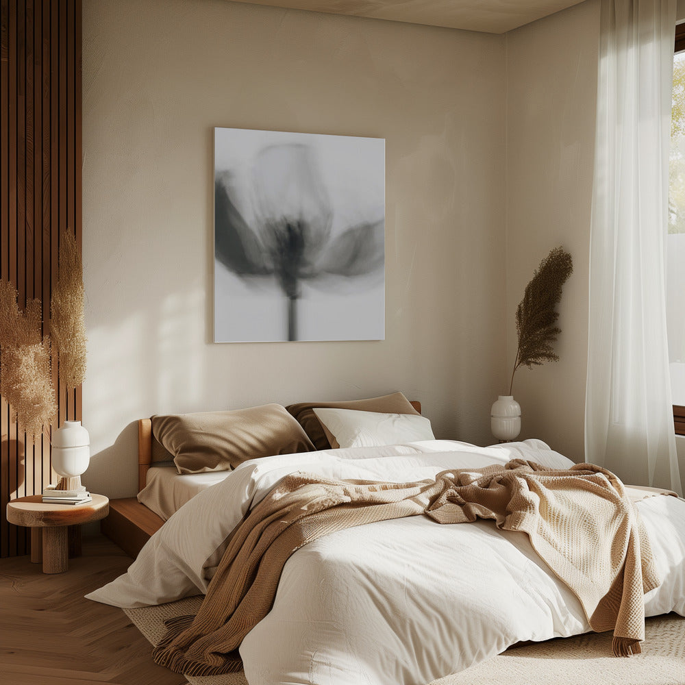 Mono Tulip | Canvas