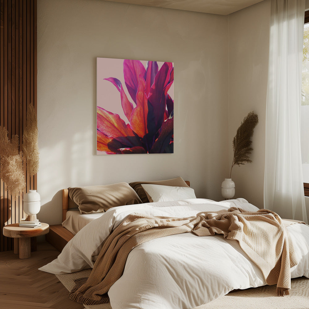 Fuchsia Blätter II | Leinwand