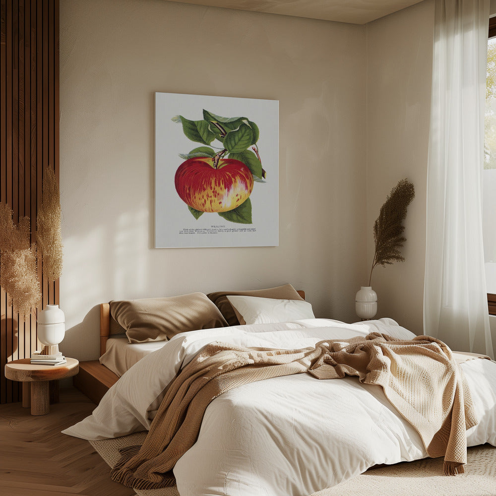Lithografie „Wealth Apple“ | Leinwand