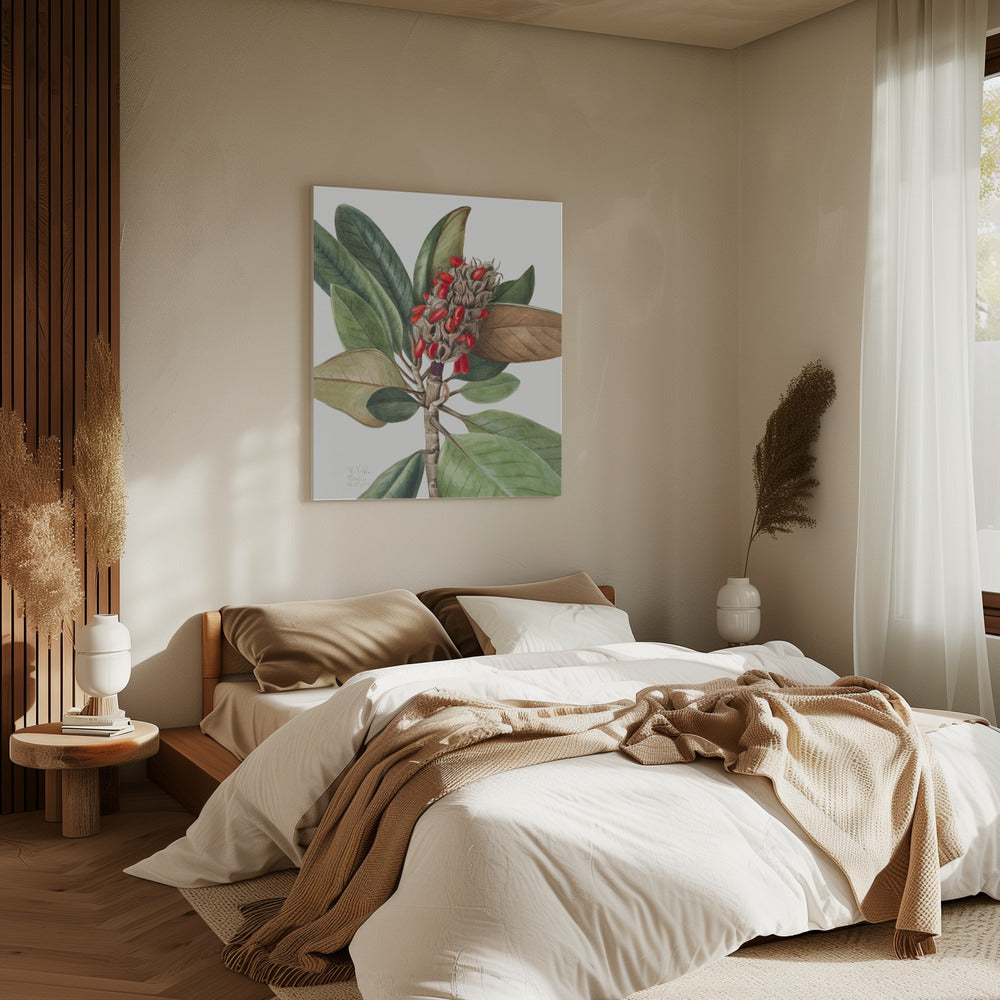 Southern Magnolia (1923) | Canvas