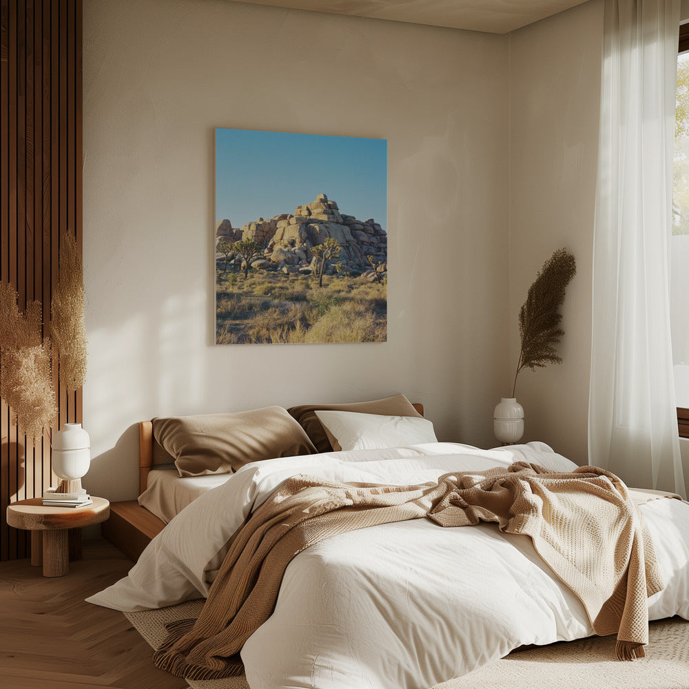 Joshua Tree Sonnenuntergang | Leinwand
