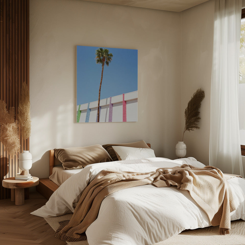 Palm Springs II | Leinwand