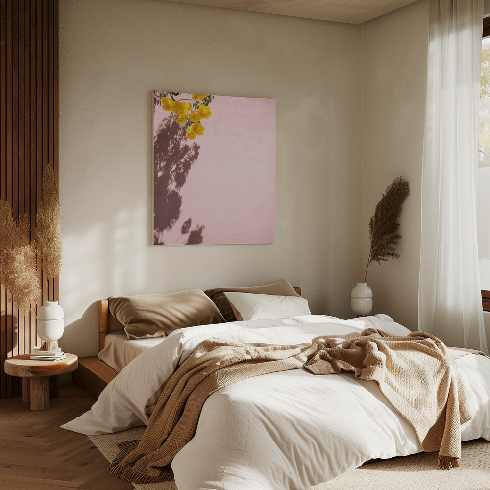 Gelb und Pink | Oaxaca, Mexiko | Leinwand