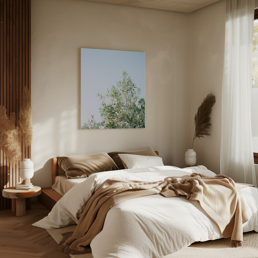 Oliven in Ostuni | Italien Reisefotografie | Leinwand