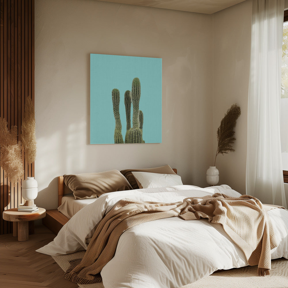 Turquoise Cactus | Canvas