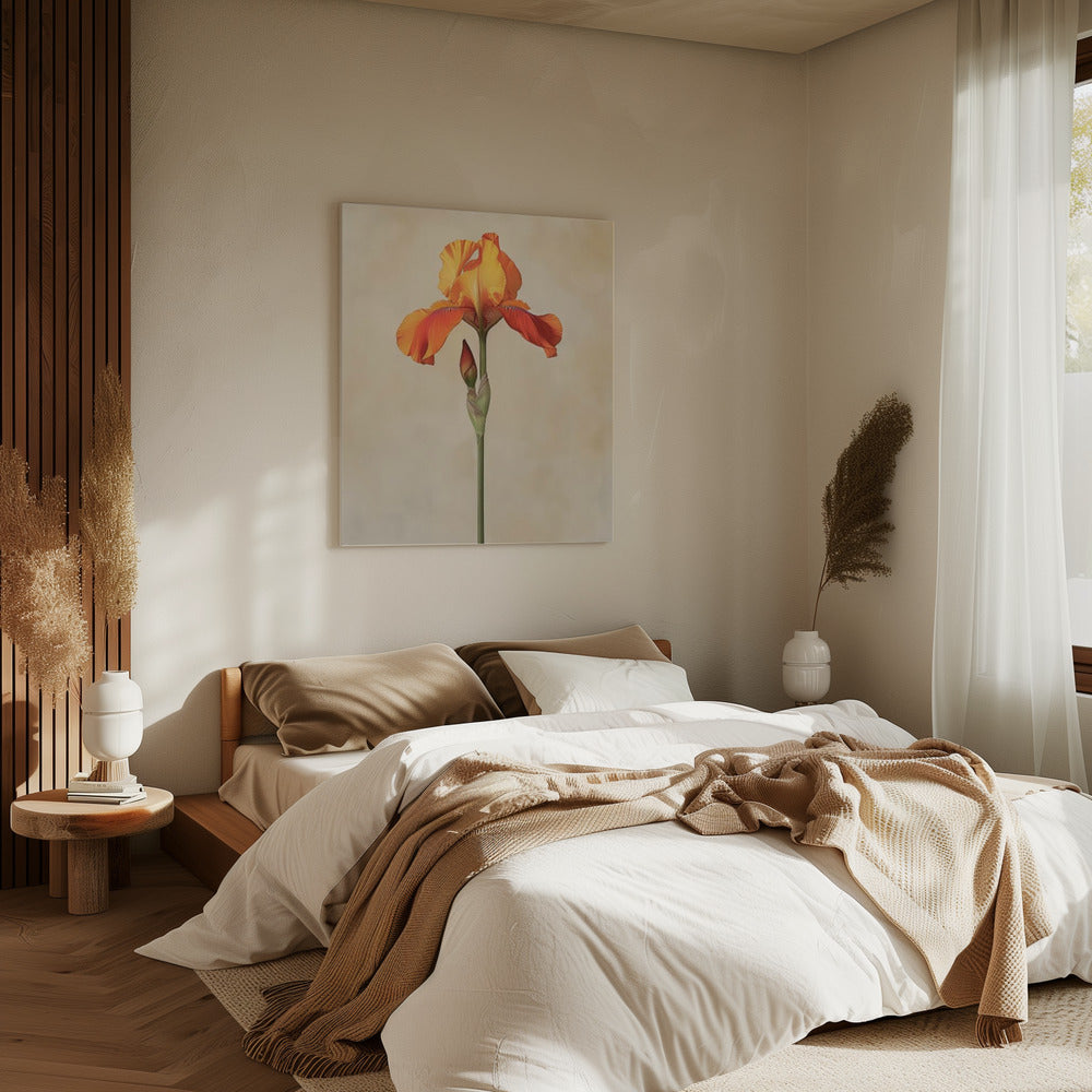 Poster Leinwand Sng Iris 34 | Leinwand