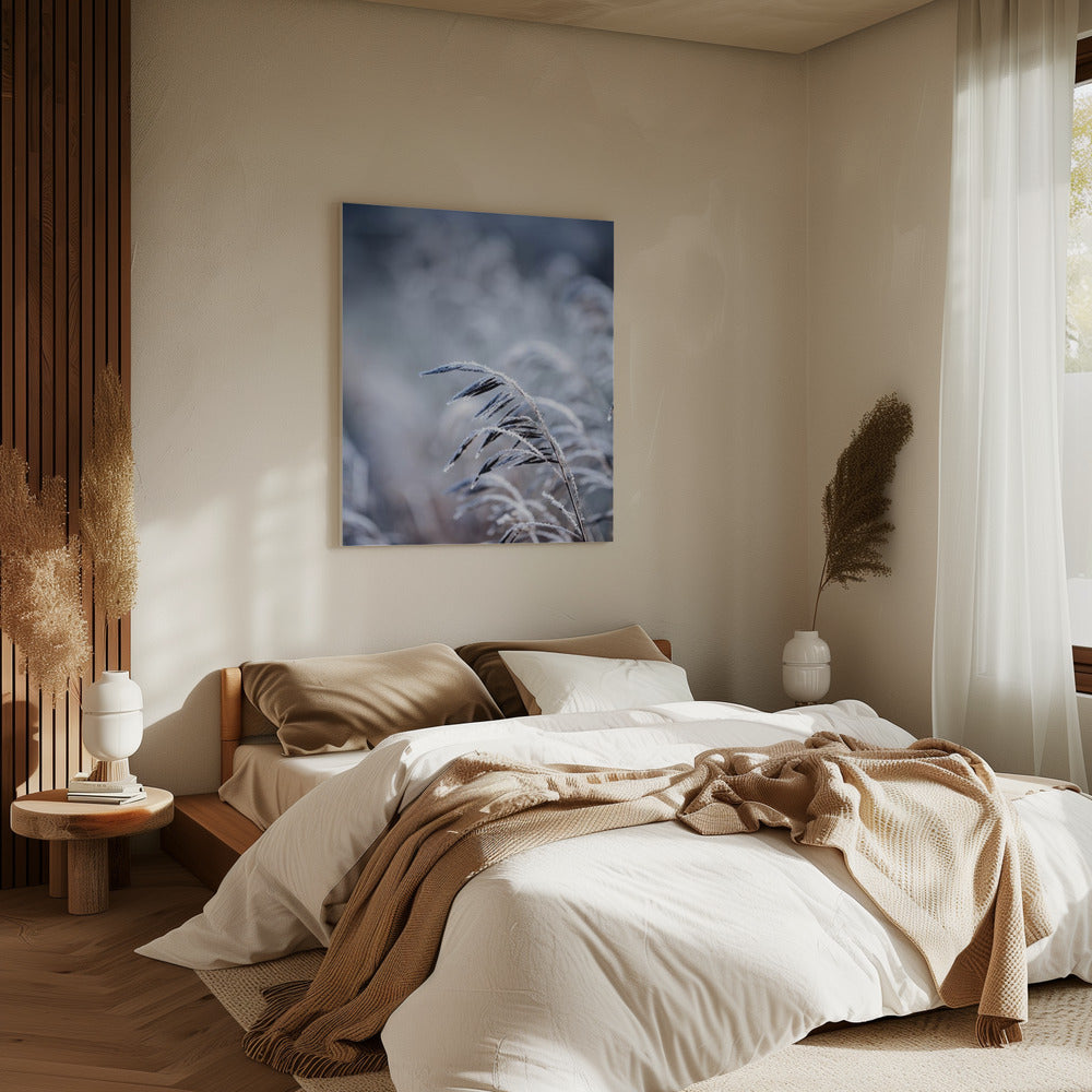 Frostiger Morgen 5 | Leinwand