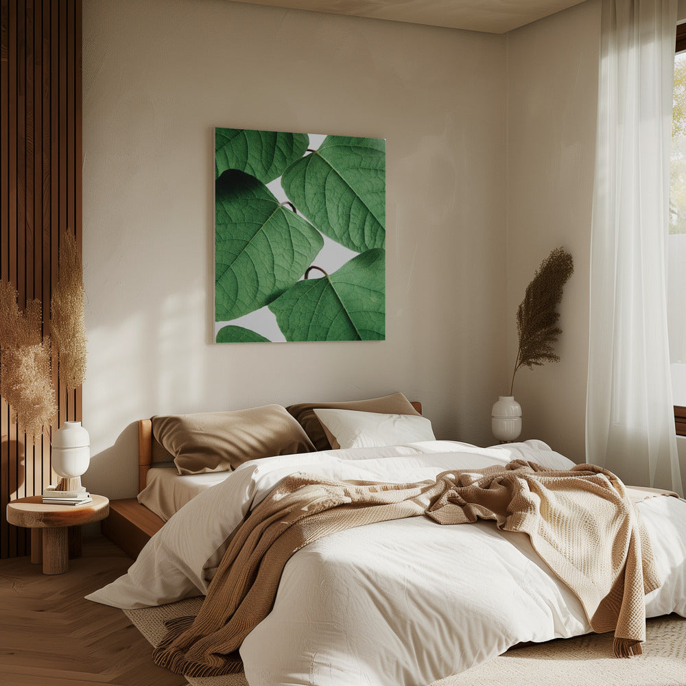 Summer Branches | Canvas