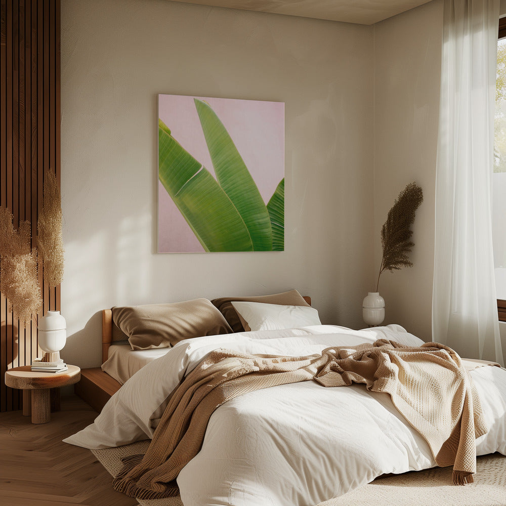 Merida Grün auf Pink | Leinwand