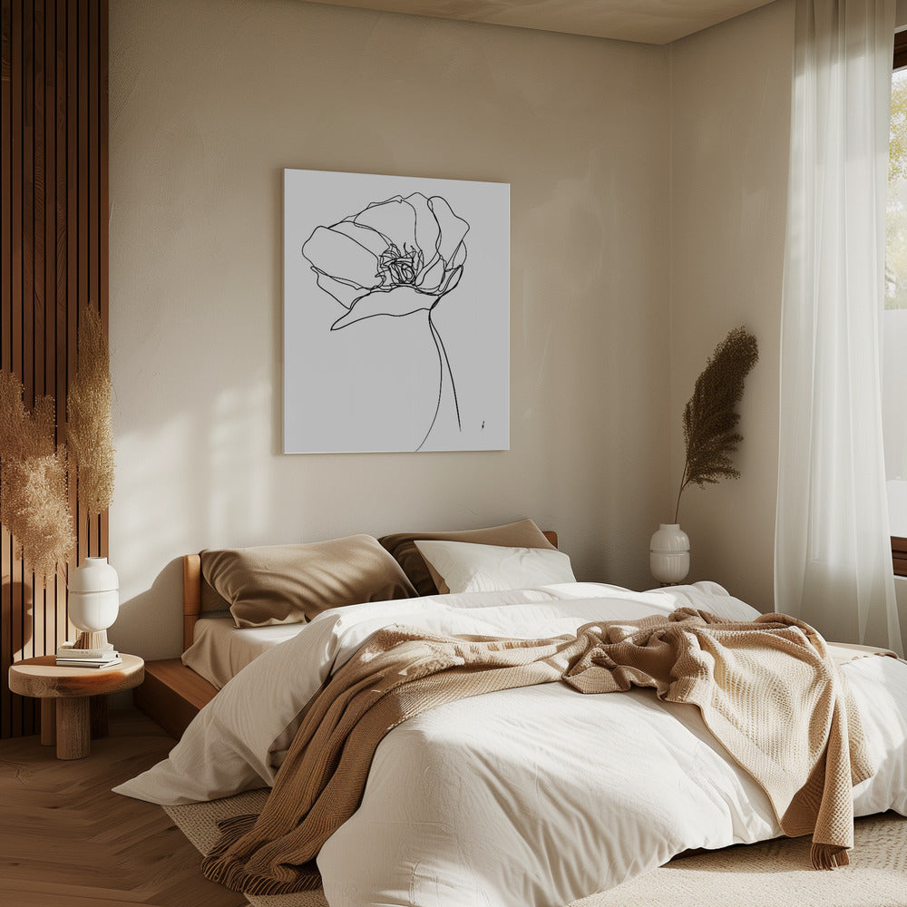 Mohn in einer Linie | Leinwand