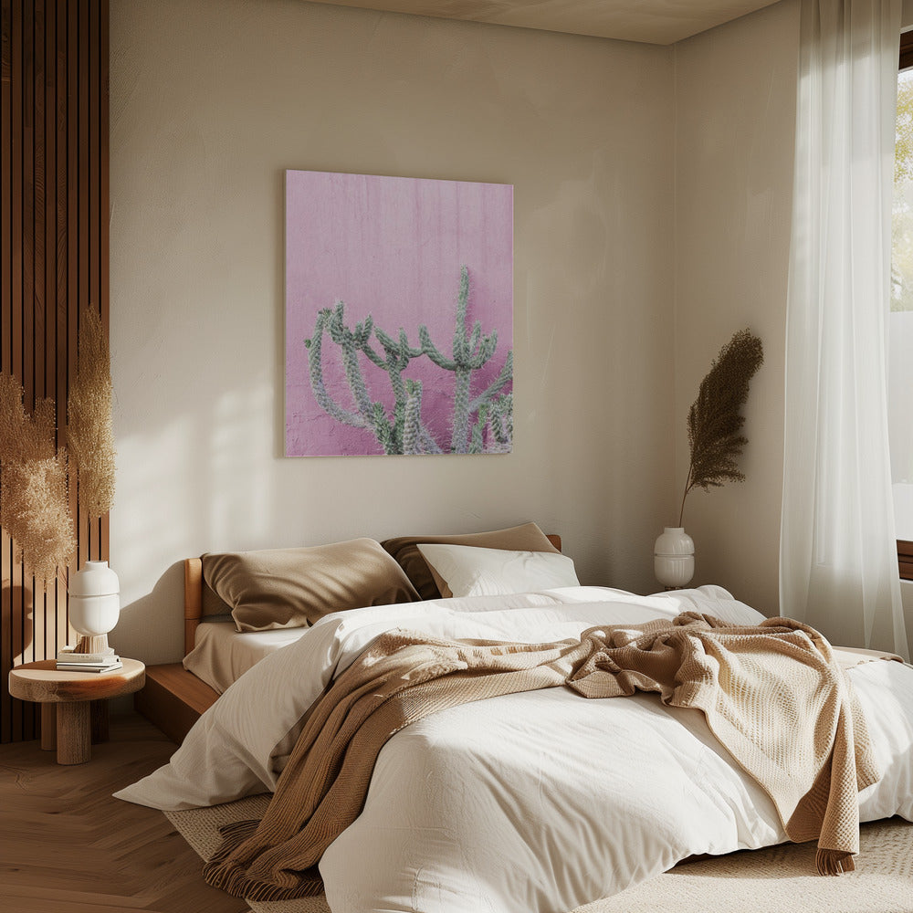 Kaktus auf Rosa | Leinwand