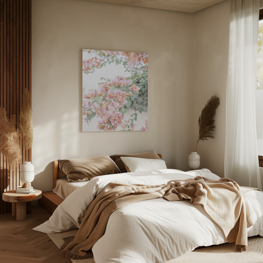 Pfirsichfarbene Bougainvillea | Leinwand