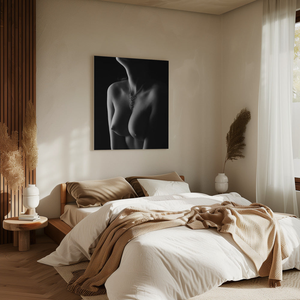 Nackte Kurven | Leinwand