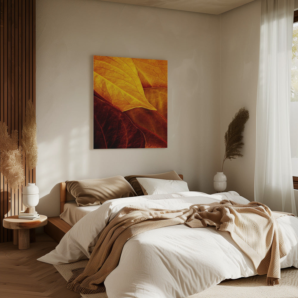 Leaves | Canvas