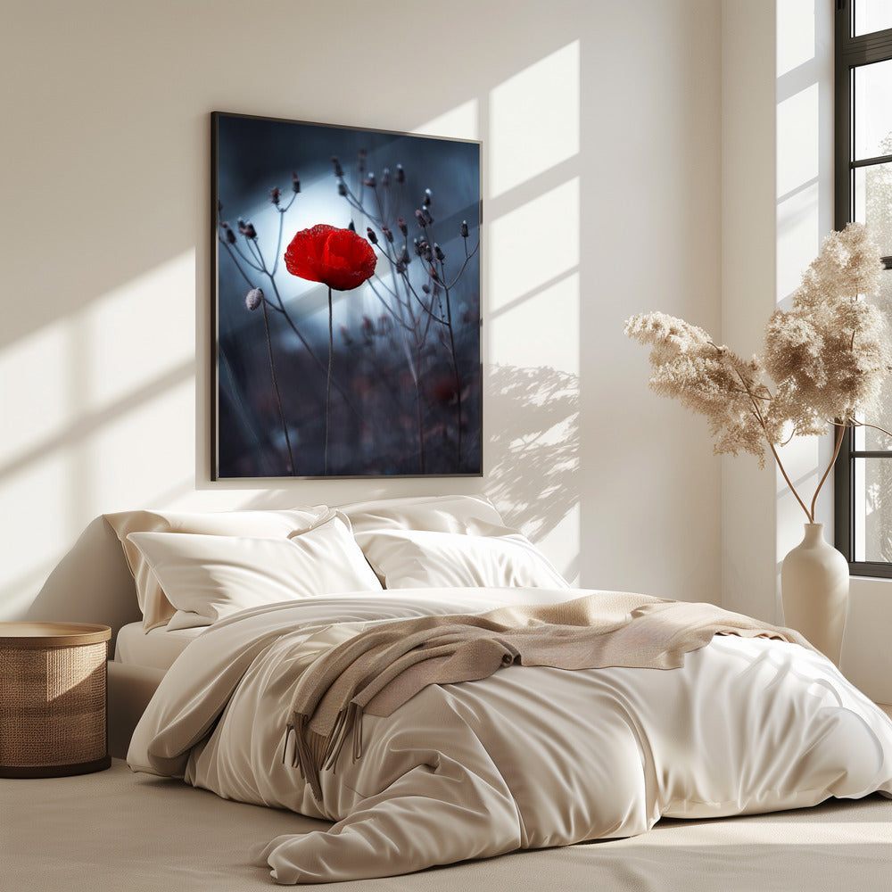 Blume nicht von Kenzo. Von mir | Poster