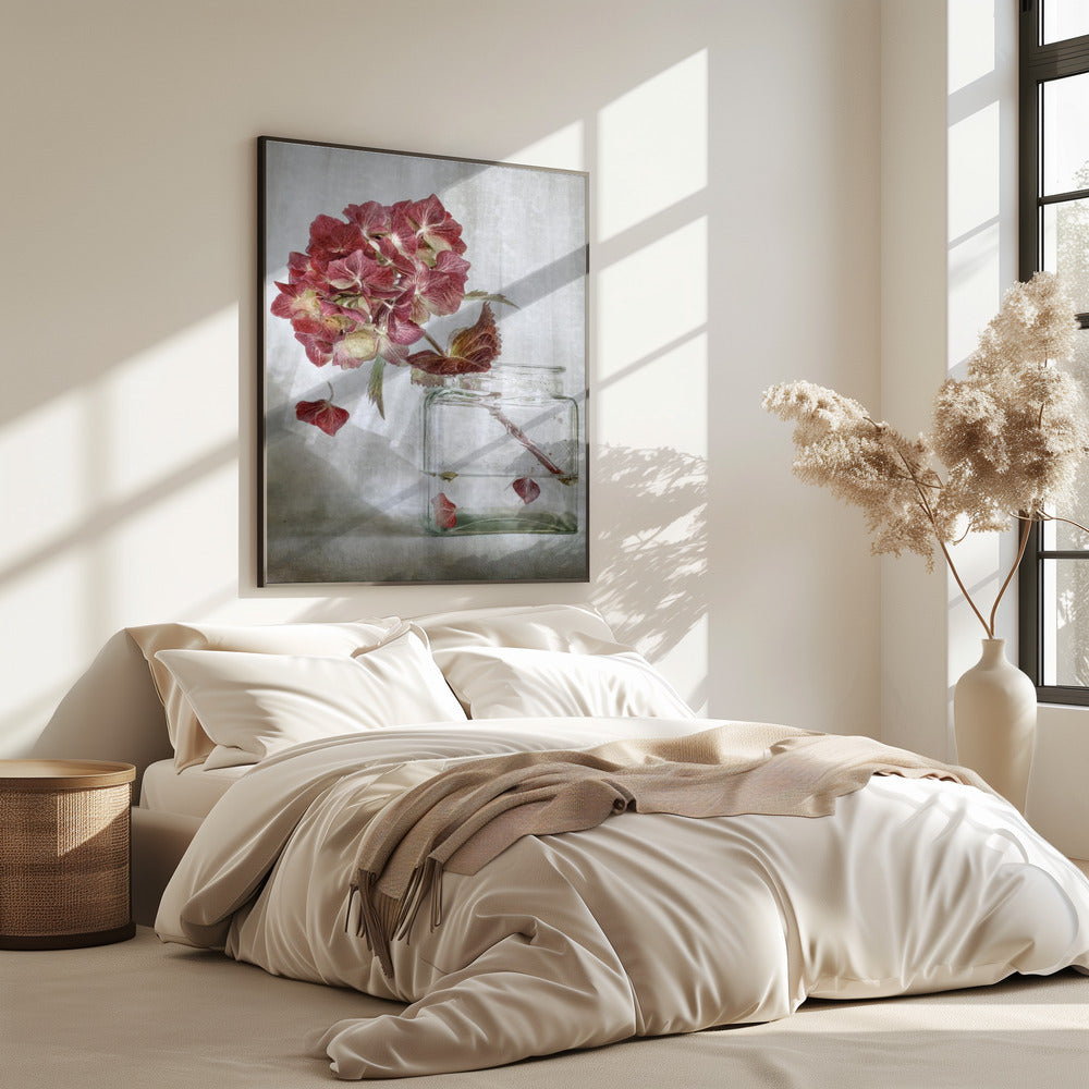Hydrangea | Poster