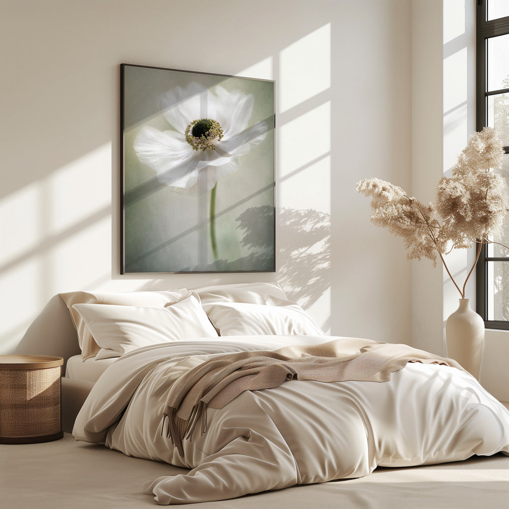 Single White | Poster