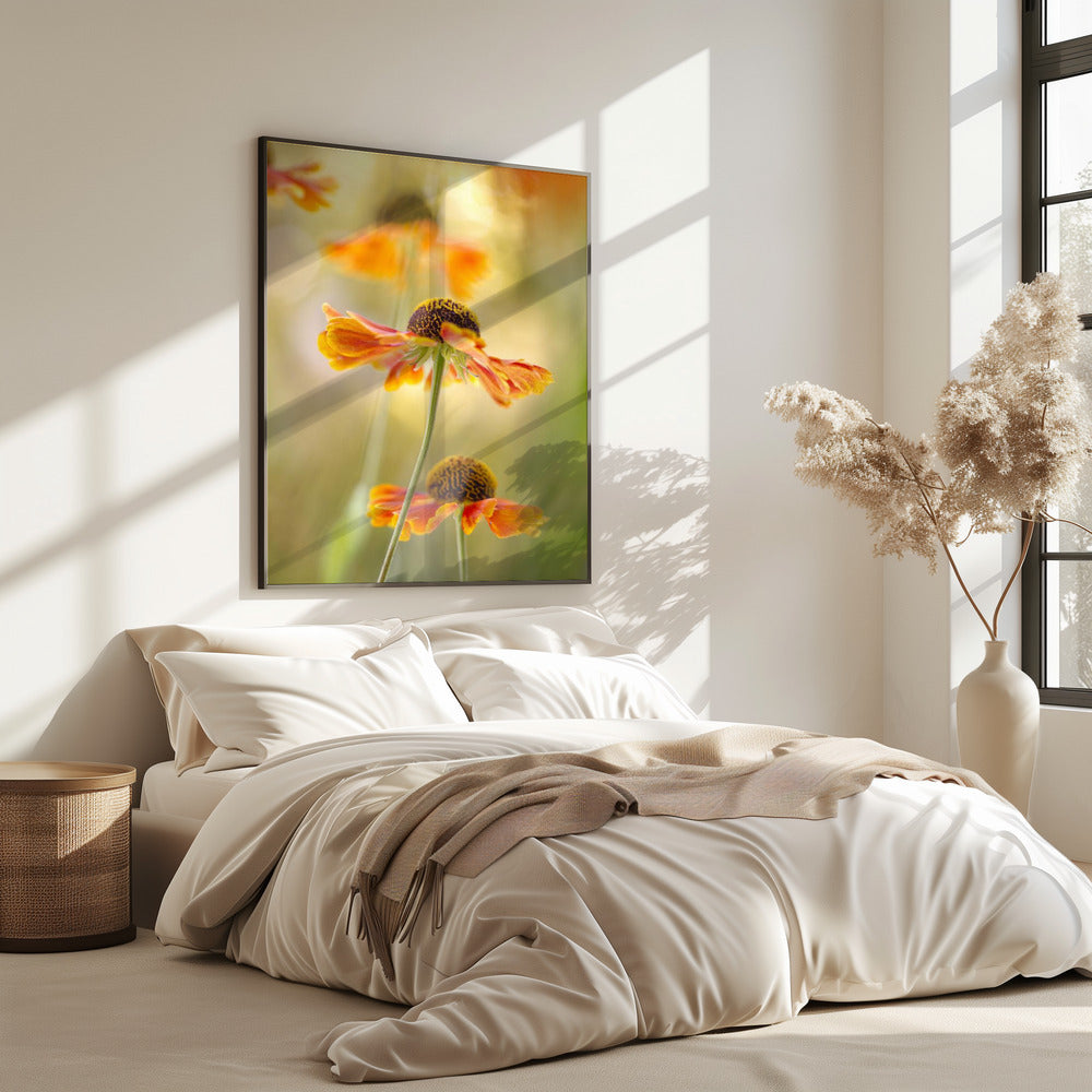 Helenium | Poster