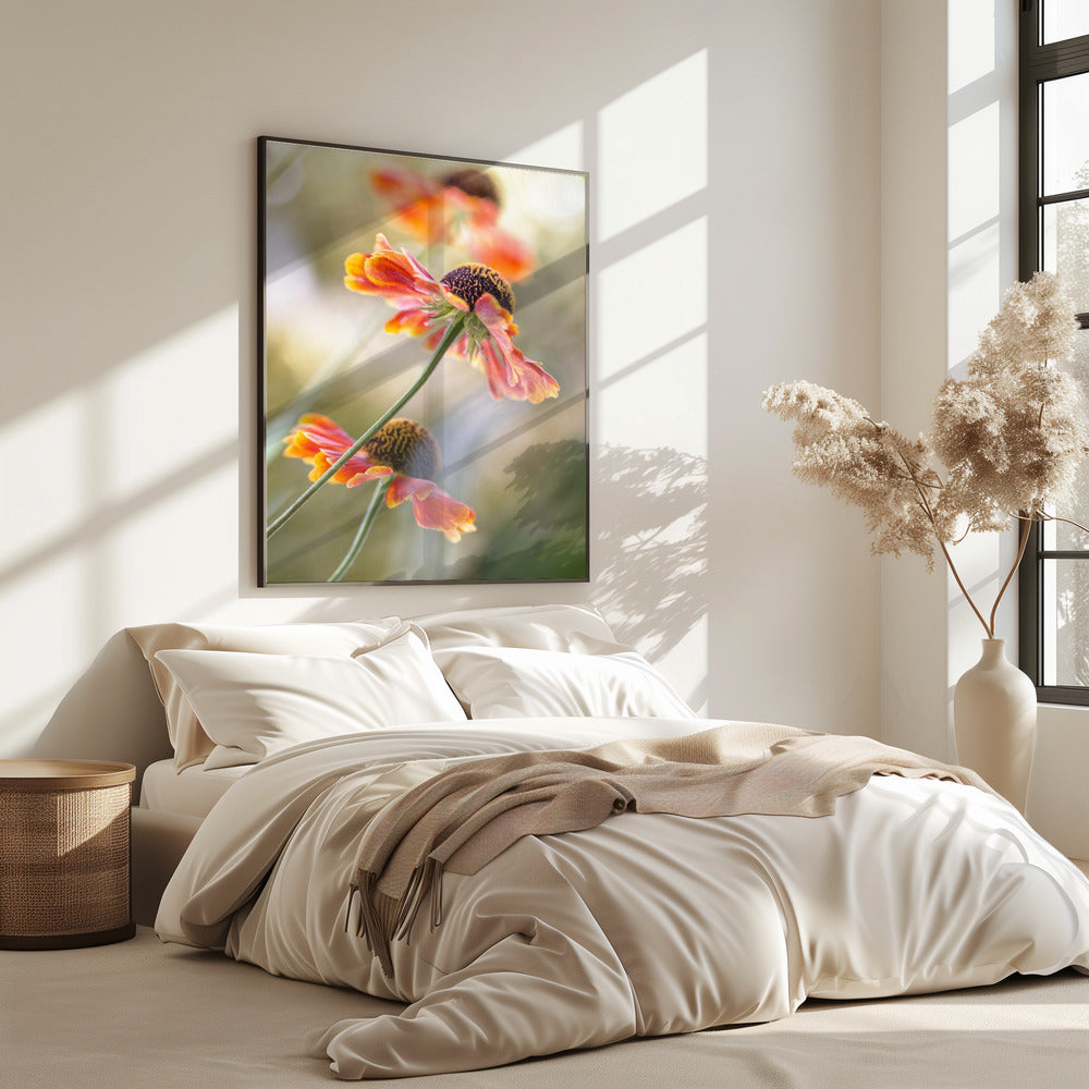 Helenium* | Poster