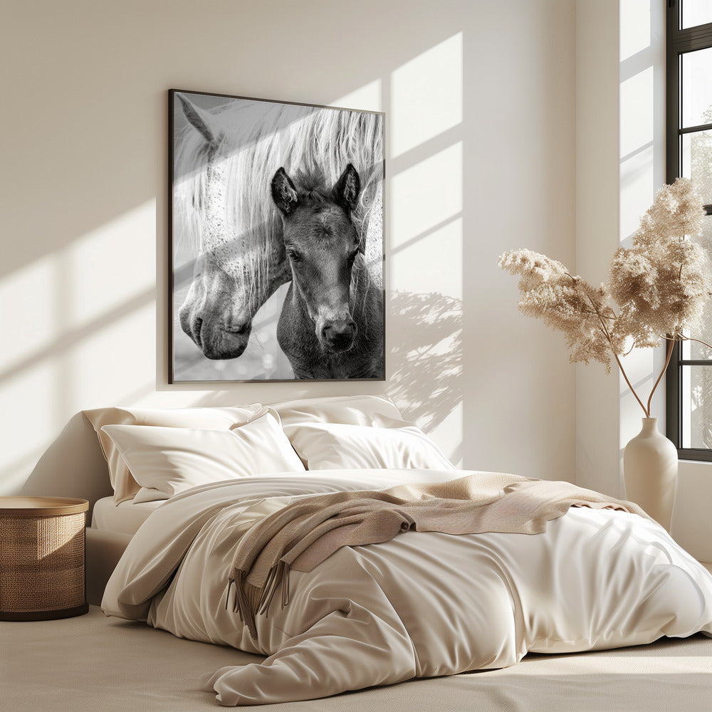 The Foal | Poster