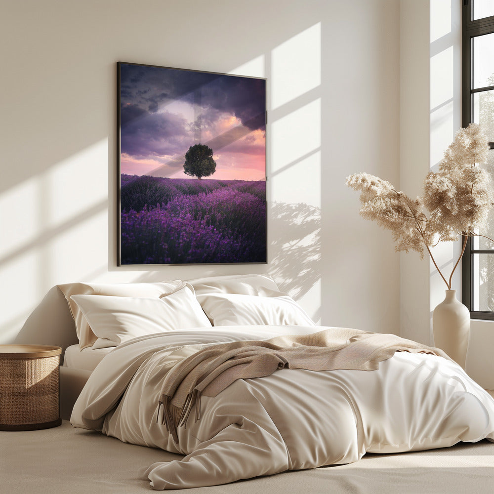 Lavendelfelder, Isparta | Poster