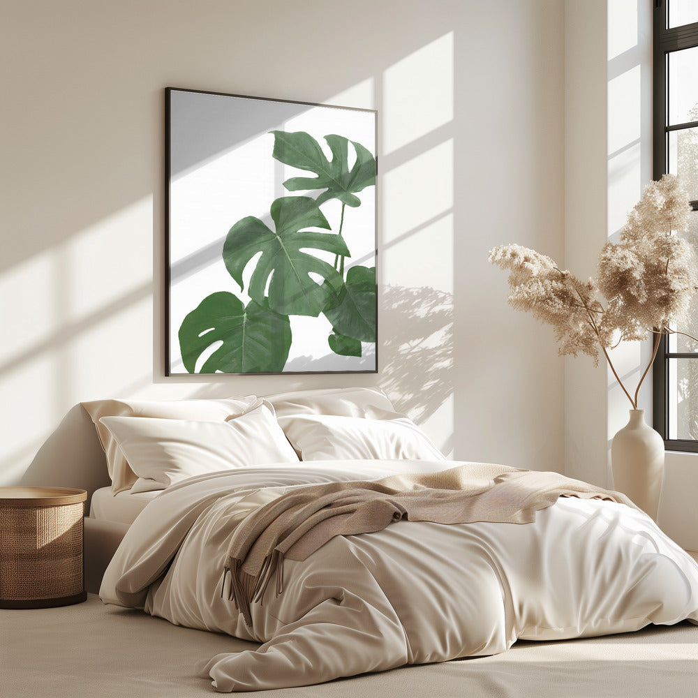 Monstera Aqua 03 | Poster