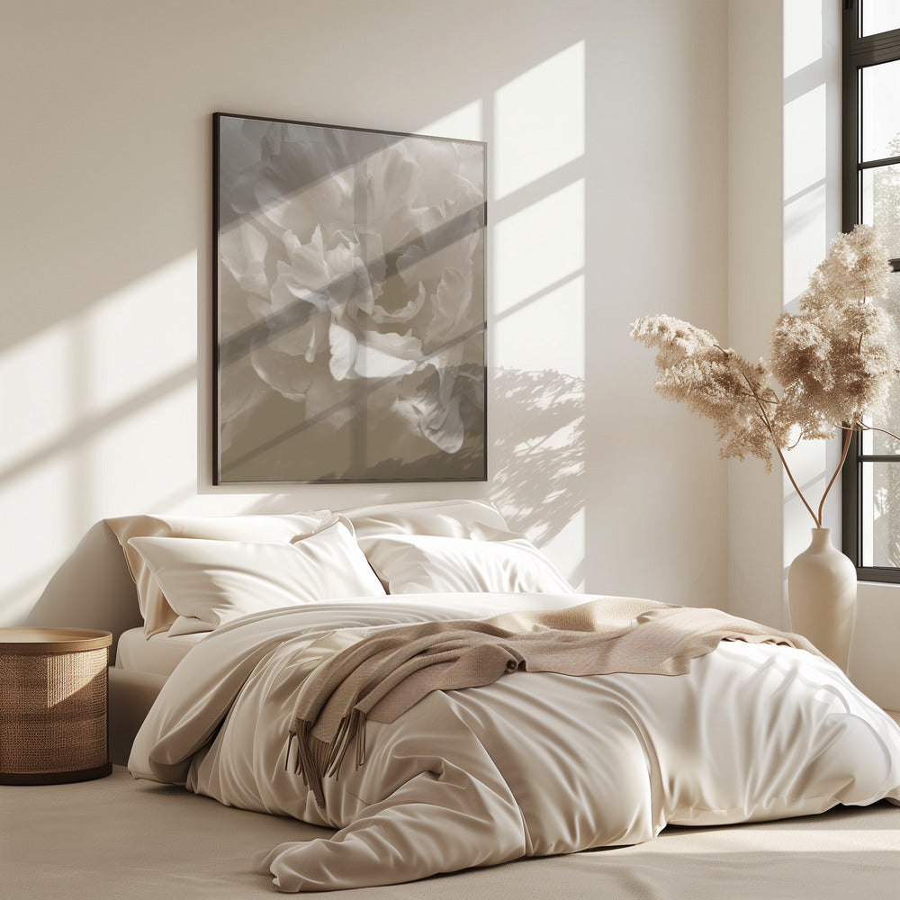 Peony_9 | Poster