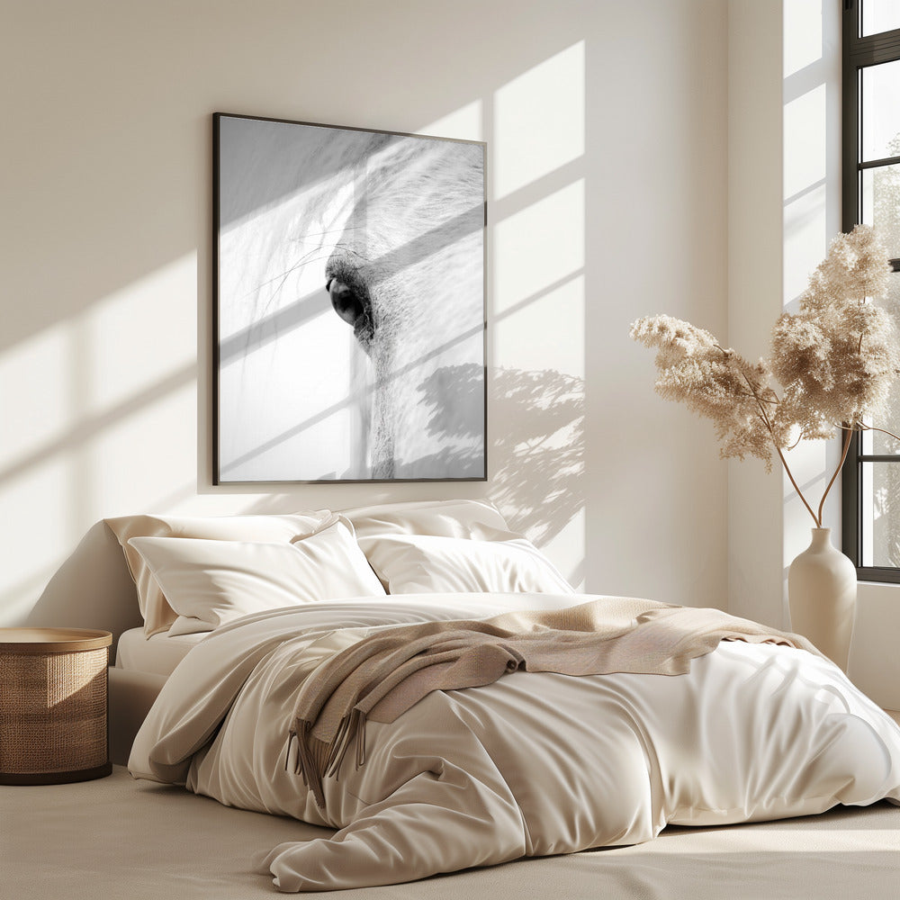 Schlauchauge | Poster