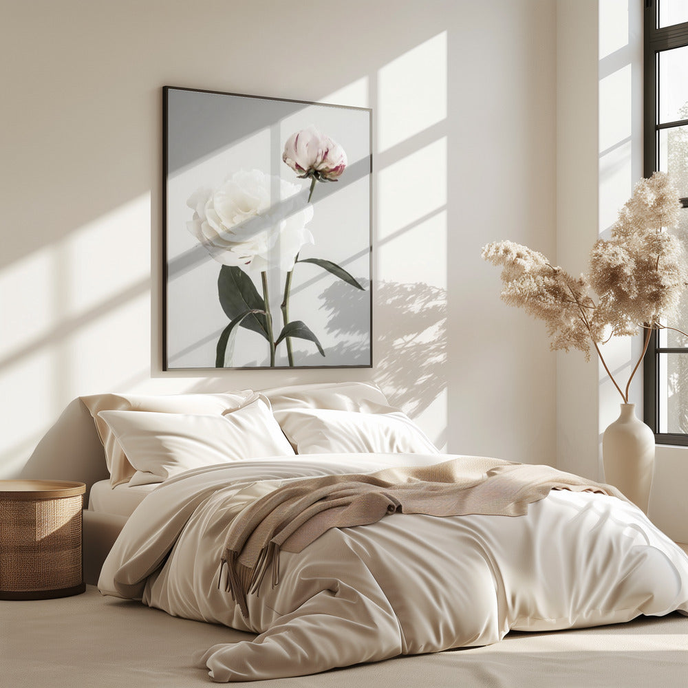 Peony 12 | Poster