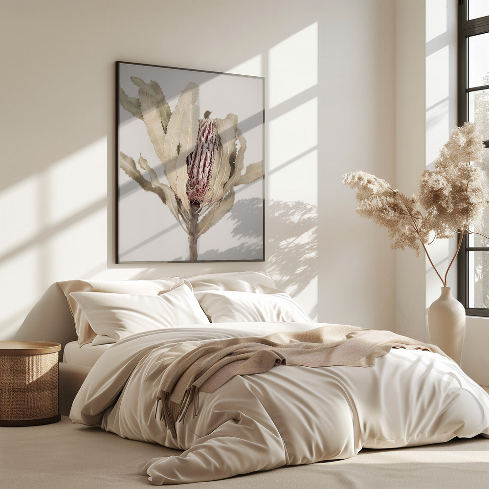 Banksia | Poster