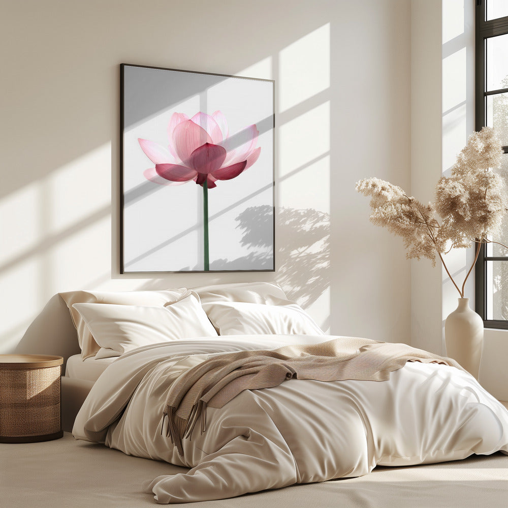 Lotusblume | Poster