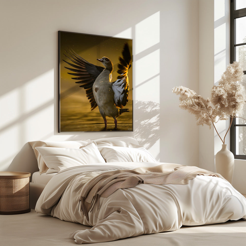 Offenes Herz | Poster