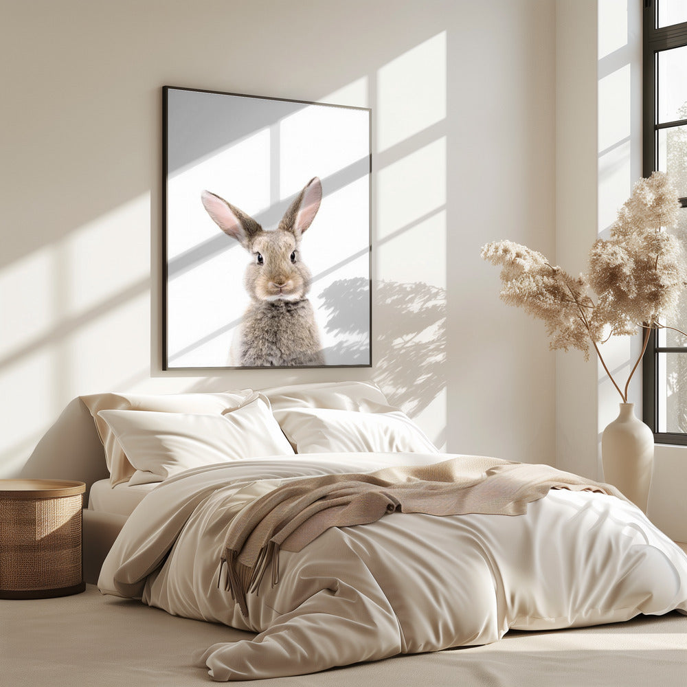 Baby Rabbit | Poster
