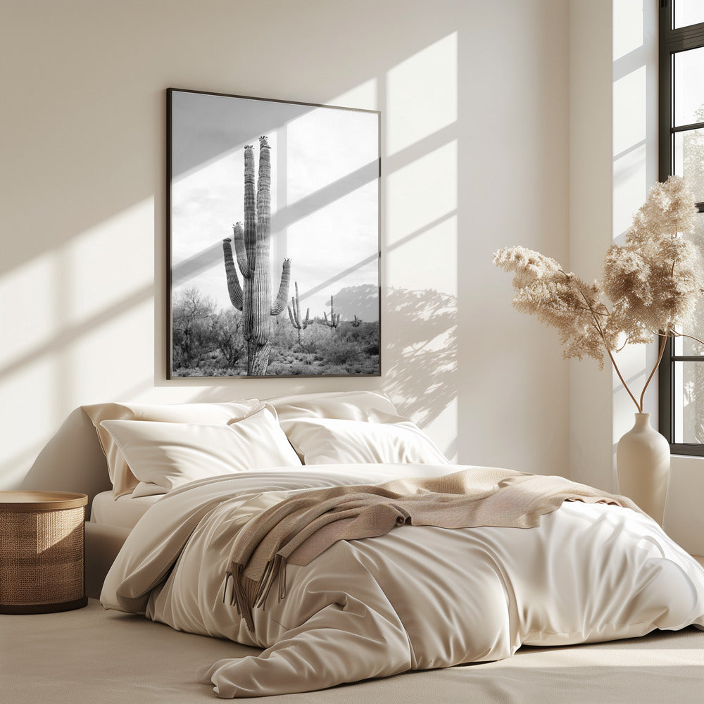 Saguaro Schwarzweiß | Poster