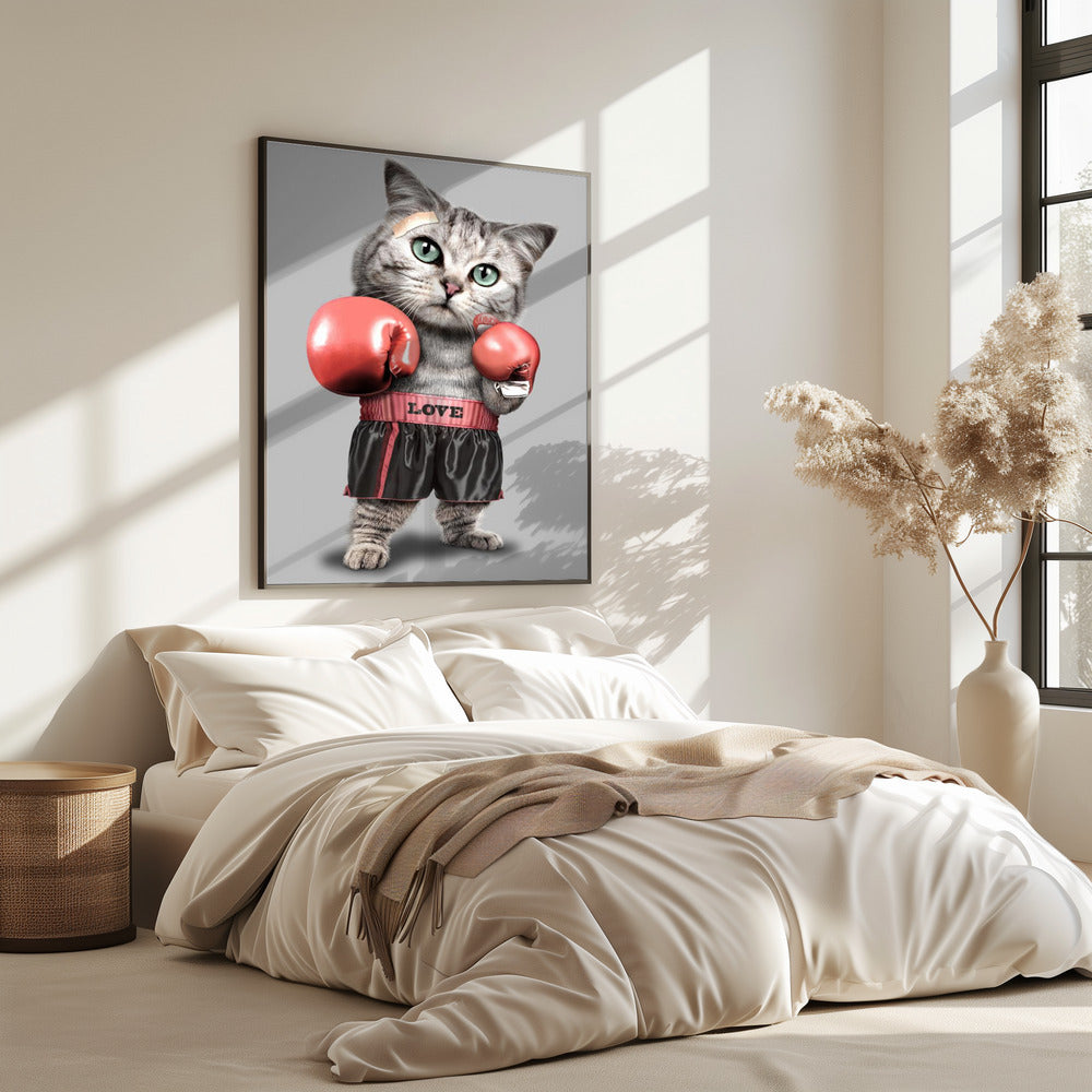 Boxende Katze | Poster