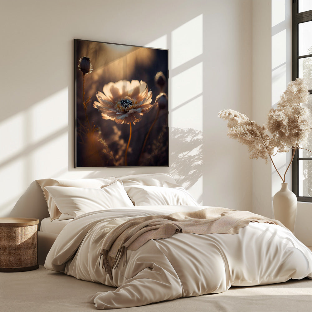 Sonnenbeschienene Blüte | Poster