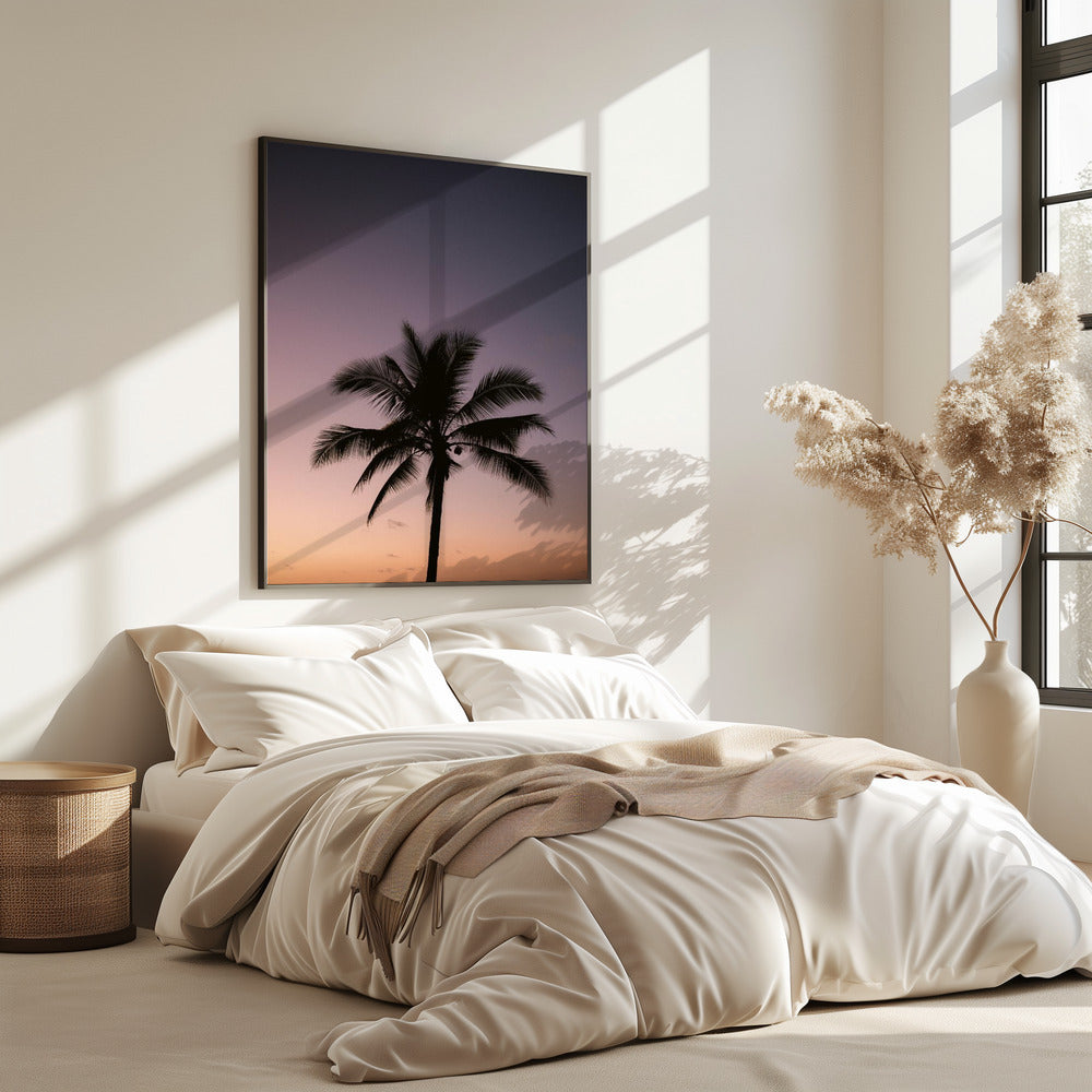 Costa Rica Palme | Poster
