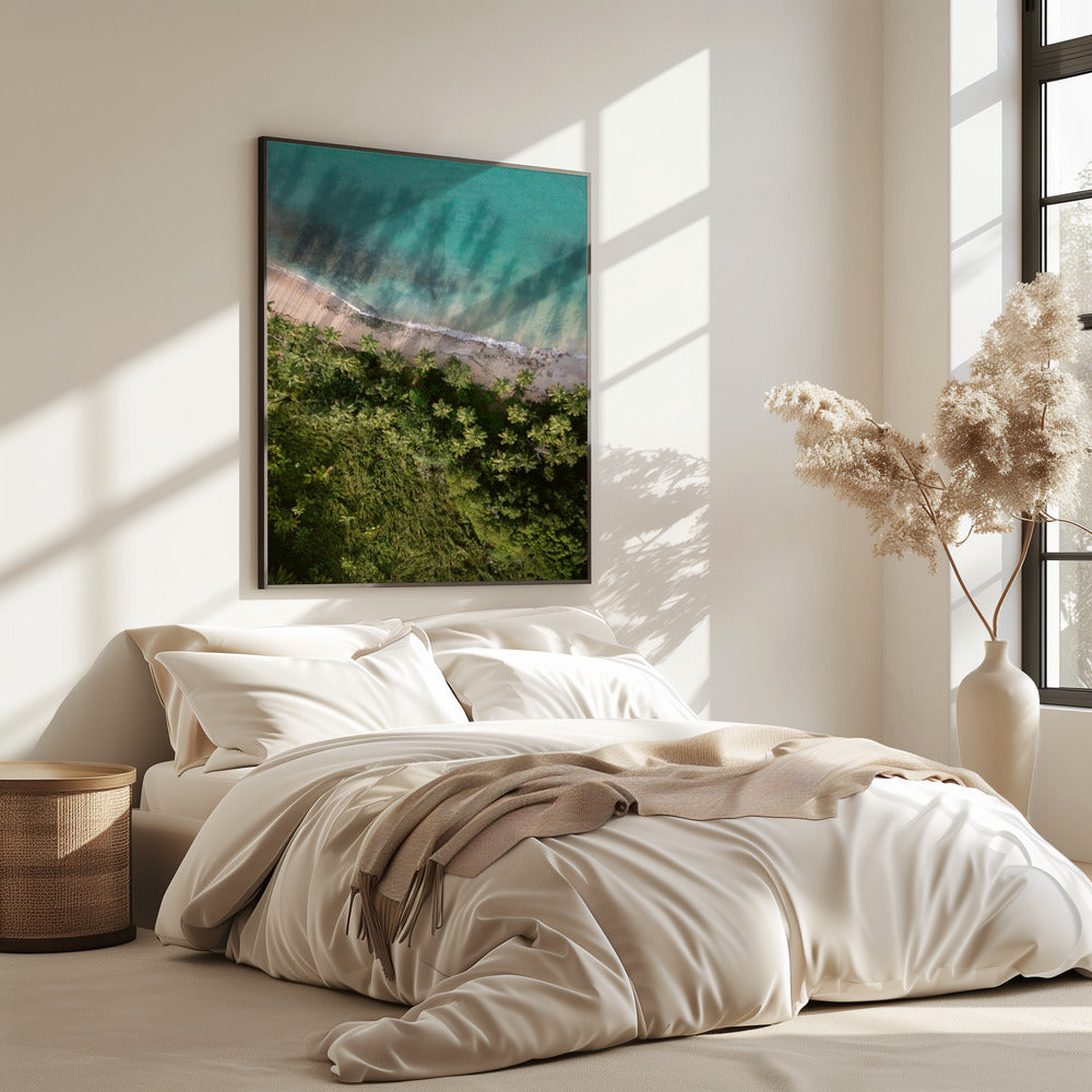 Palm Beach von oben | Poster