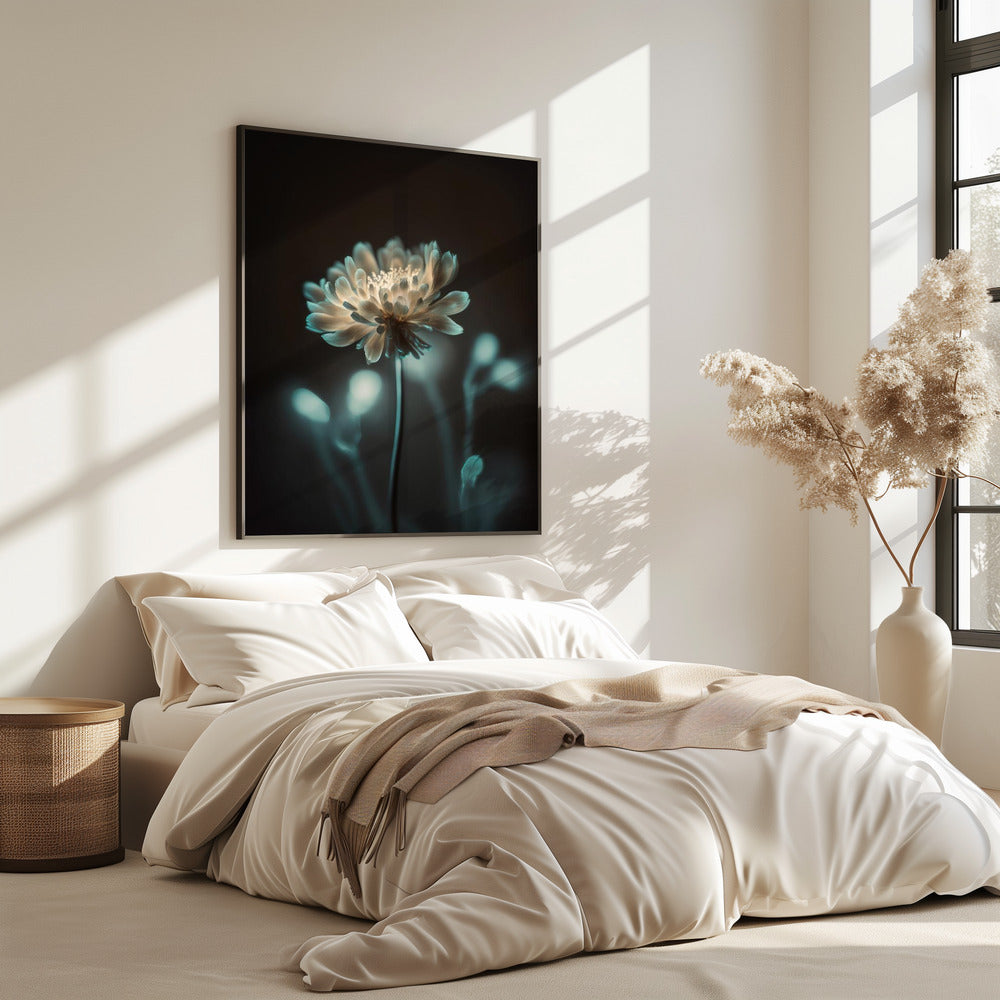 „Leuchtende Blüte“ | Poster