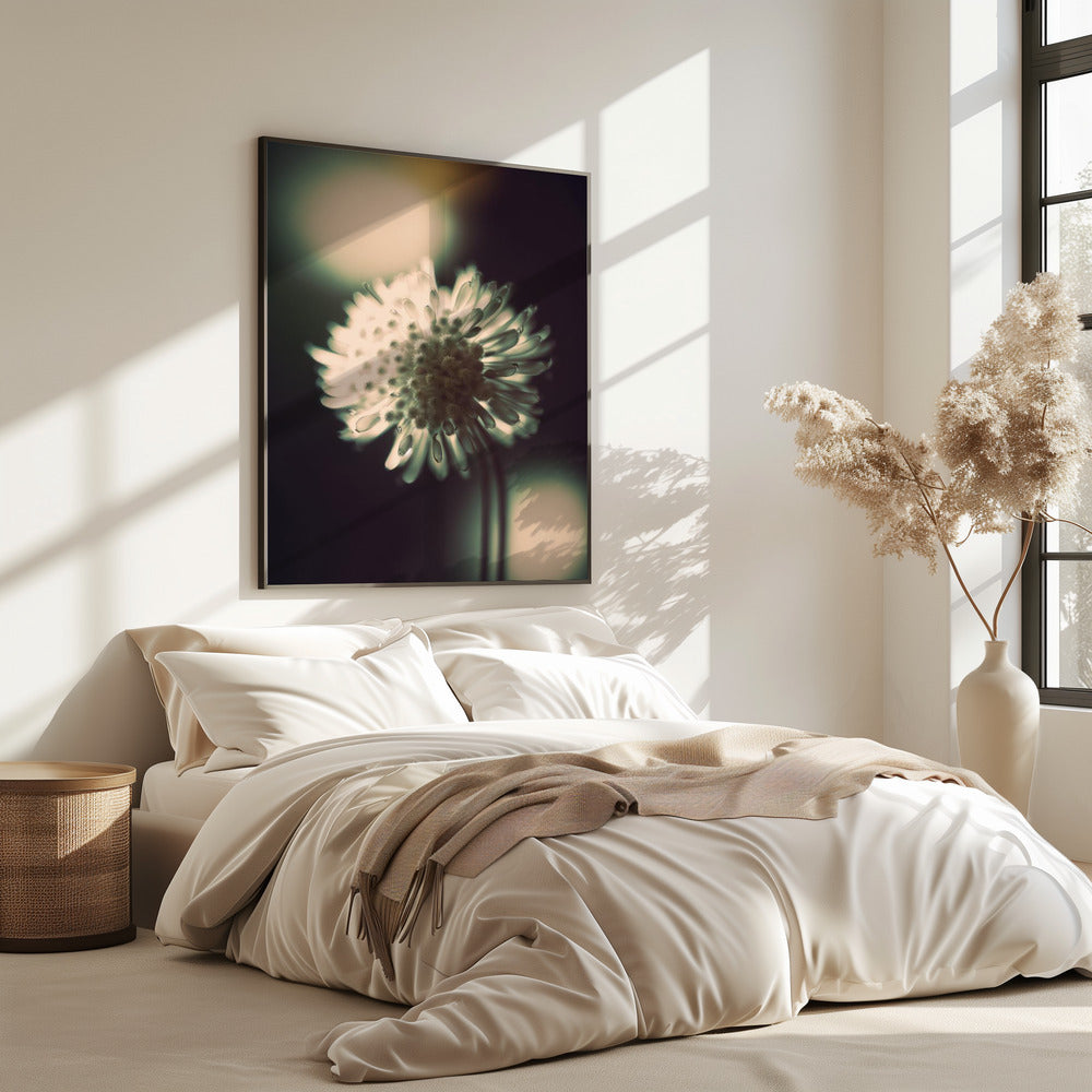 Ätherische Blüte | Poster