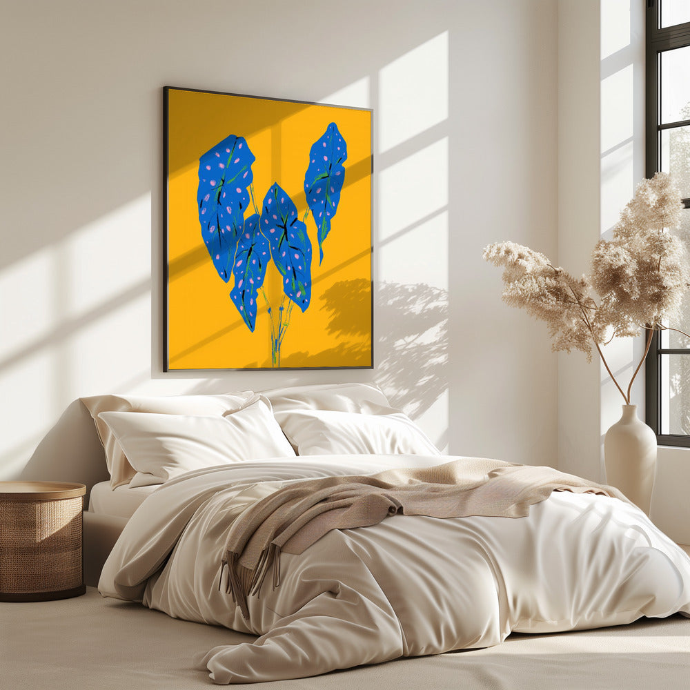 Begonia Maculata Blau und Gelb | Poster
