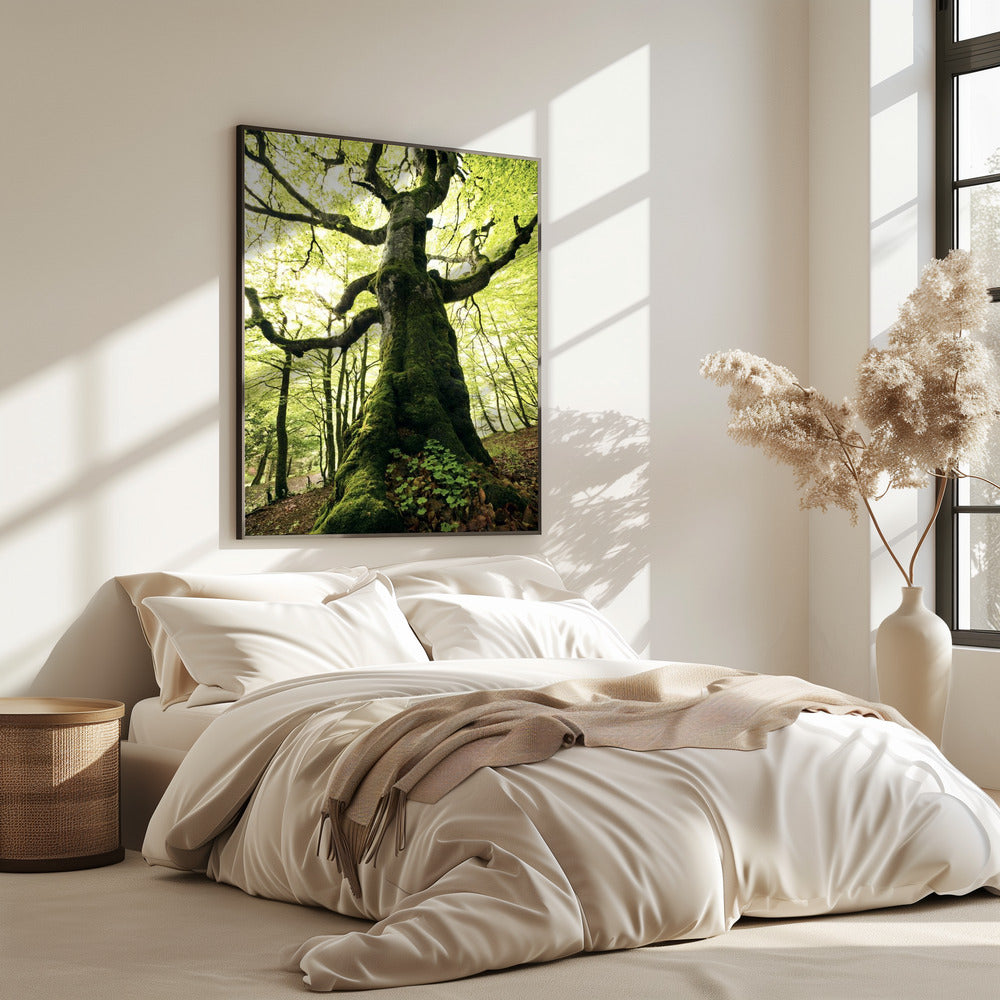 Ent | Poster